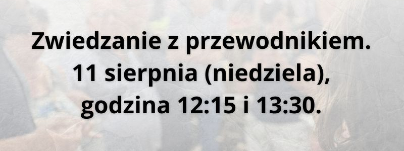 Z przewodnikiem